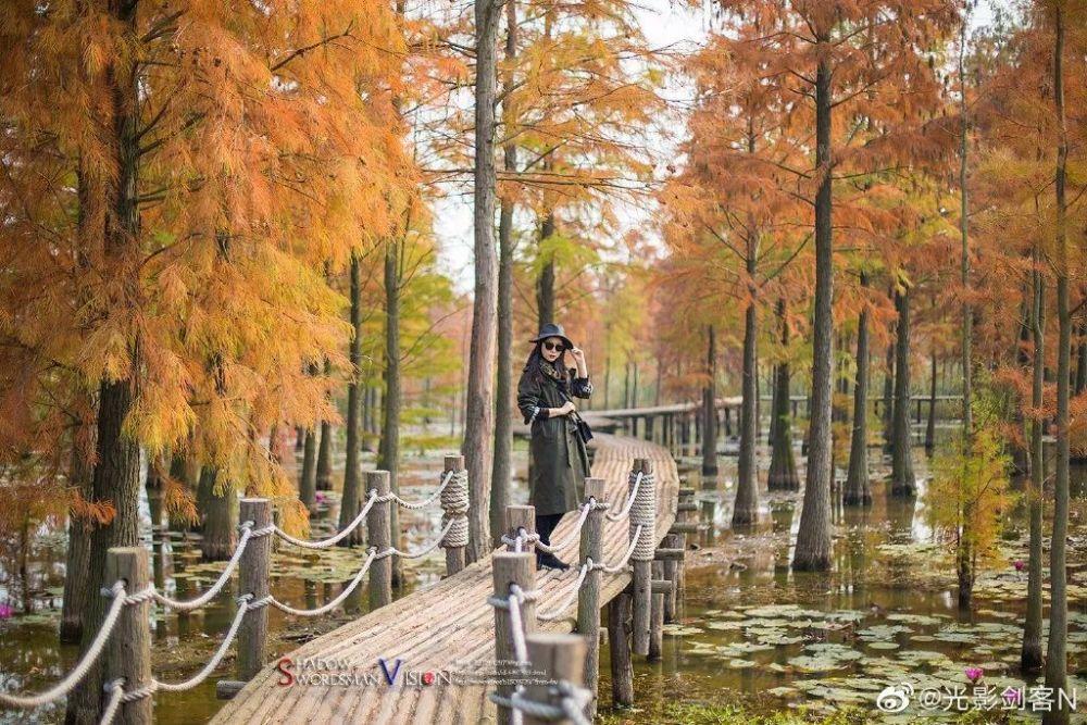 快来看用华为MatePad Pro画出的大美青海高原画卷